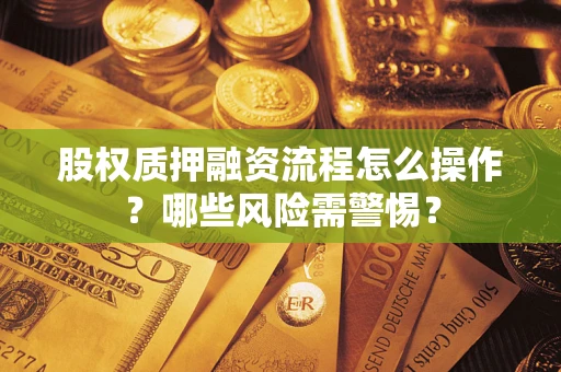 武汉股权质押融资流程怎么操作？哪些风险需警惕？