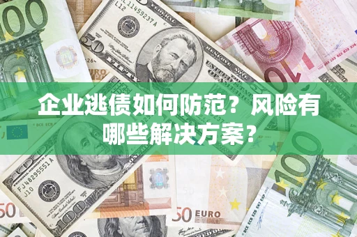 武汉企业逃债如何防范？风险有哪些解决方案？