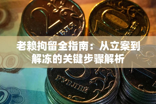 武汉老赖拘留全指南：从立案到解冻的关键步骤解析