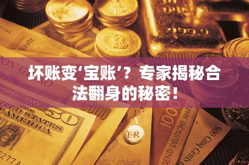 武汉坏账变‘宝账’？专家揭秘合法翻身的秘密！