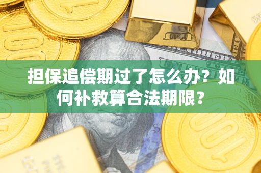 武汉担保追偿期过了怎么办？如何补救算合法期限？