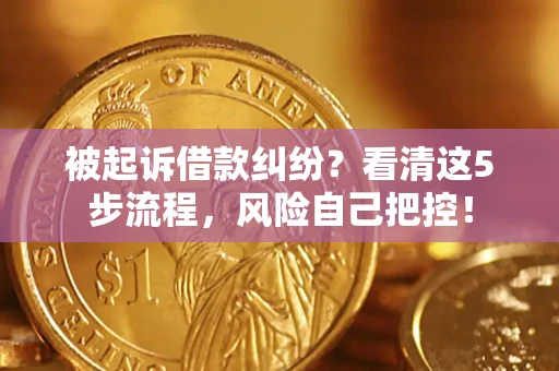 武汉被起诉借款纠纷？看清这5步流程，风险自己把控！