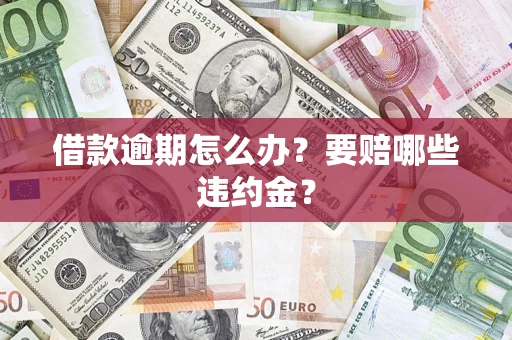 武汉借款逾期怎么办？要赔哪些违约金？